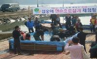 참숭어축제4