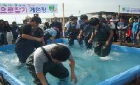 참숭어축제3